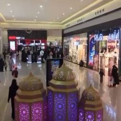 أتحاد الفن التشكيلي يقدم لوحة لطفلة فاقدة اسرتها !!