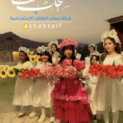 إبرة المغذي التي فصلت المدير